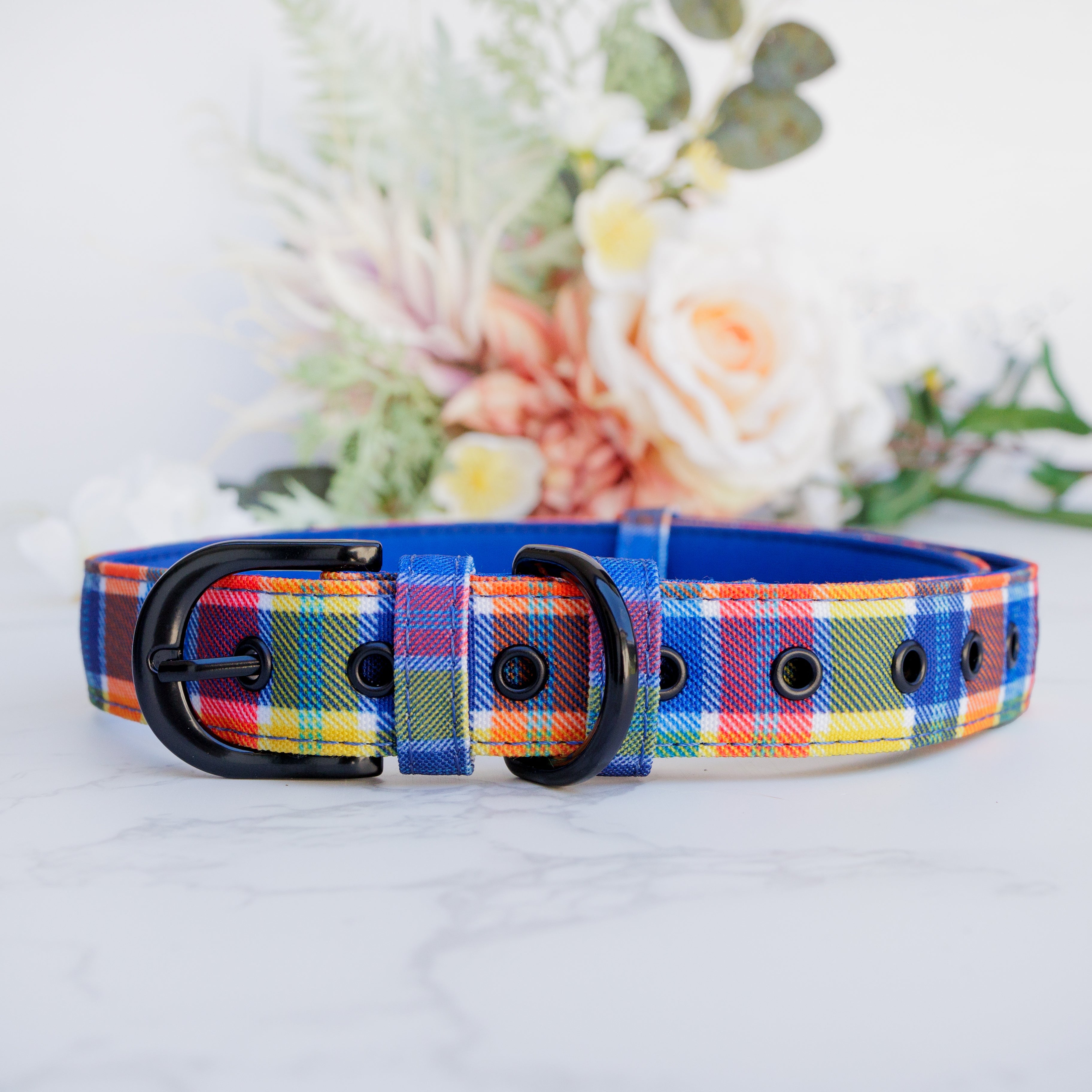 Belt buckle style dog shop collars