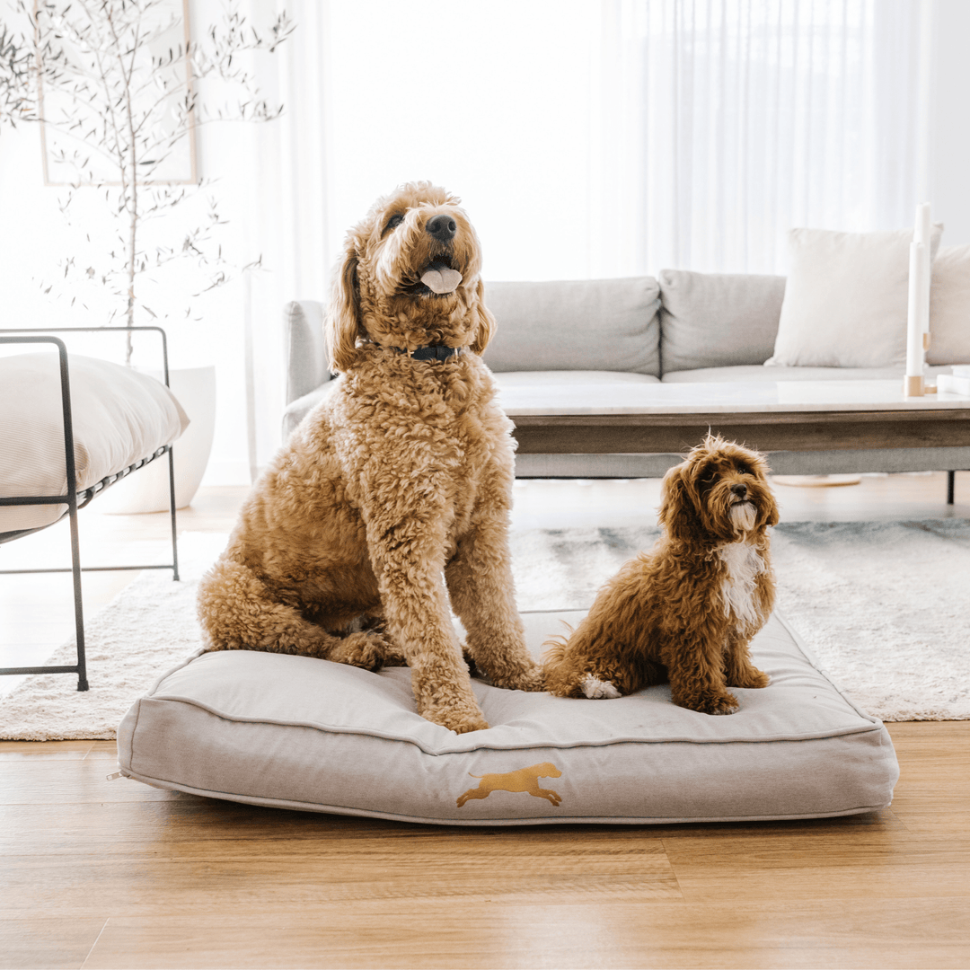 Dog Beds