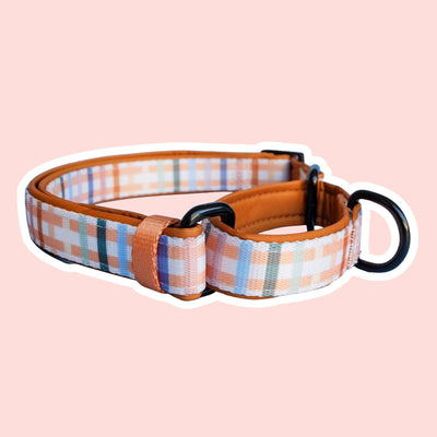 martingale dog collars, sighthound dog collars