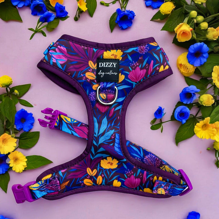 A vibrant dog harness from Dizzy Dog Collars is displayed on a pink background, surrounded by yellow and blue flowers. The harness features a colourful floral pattern with shades of purple, blue, yellow, and pink. It has purple clasps and a metal D-ring for attaching a leash. The design is lively and eye-catching, perfect for adding a touch of style to a dog's outfit.