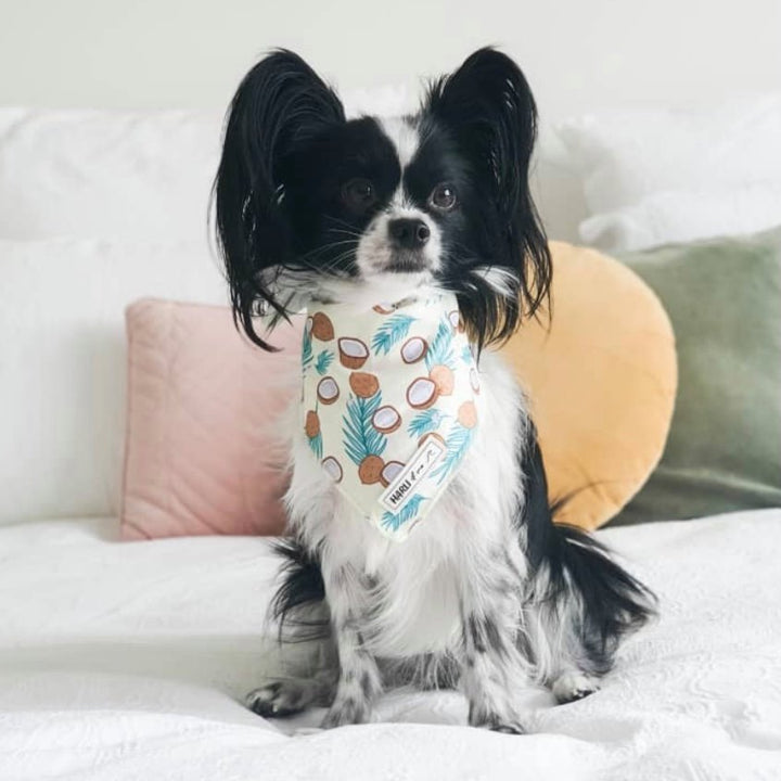 Malibu: Bandana-Bandana-Dizzy Dog Collars