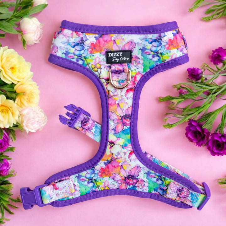 This image features a vibrant dog harness with a colourful floral watercolor pattern, including shades of purple, pink, blue, green, and yellow. The harness, branded "Dizzy Dog Collars," has purple borders and clasps. It is set against a pink background and surrounded by an assortment of flowers in matching colours, enhancing the overall aesthetic and creating a visually pleasing, coordinated look.