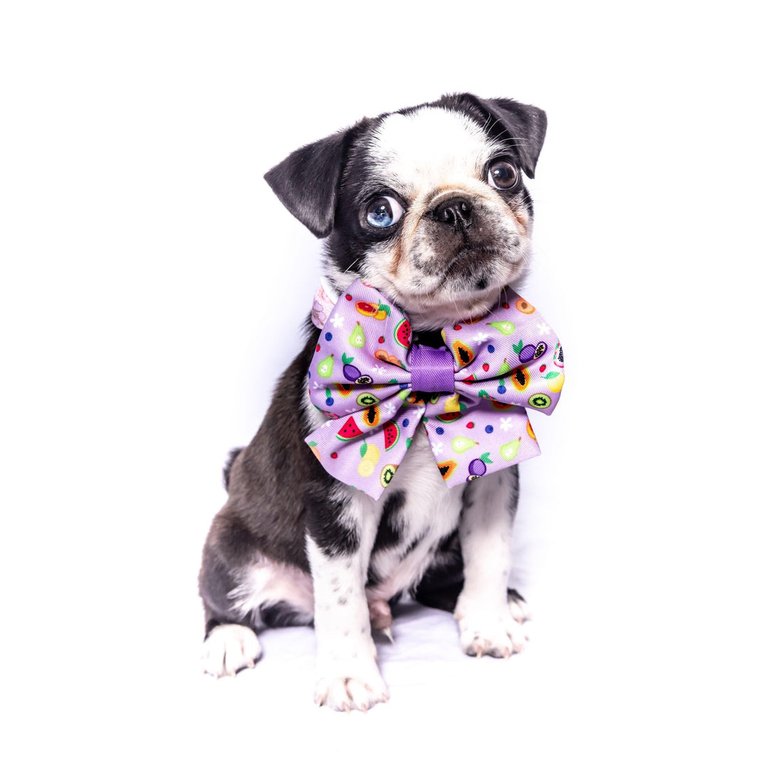 Paradise Punch: Sailor Bow Tie-Bow Tie-Dizzy Dog Collars