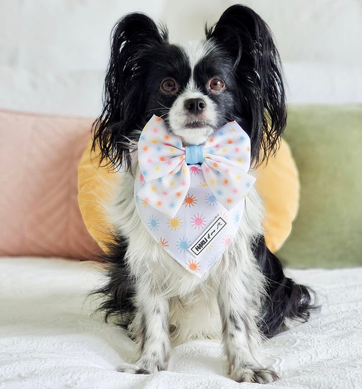 Walking on Sunshine: Bandana-Bandana-Dizzy Dog Collars