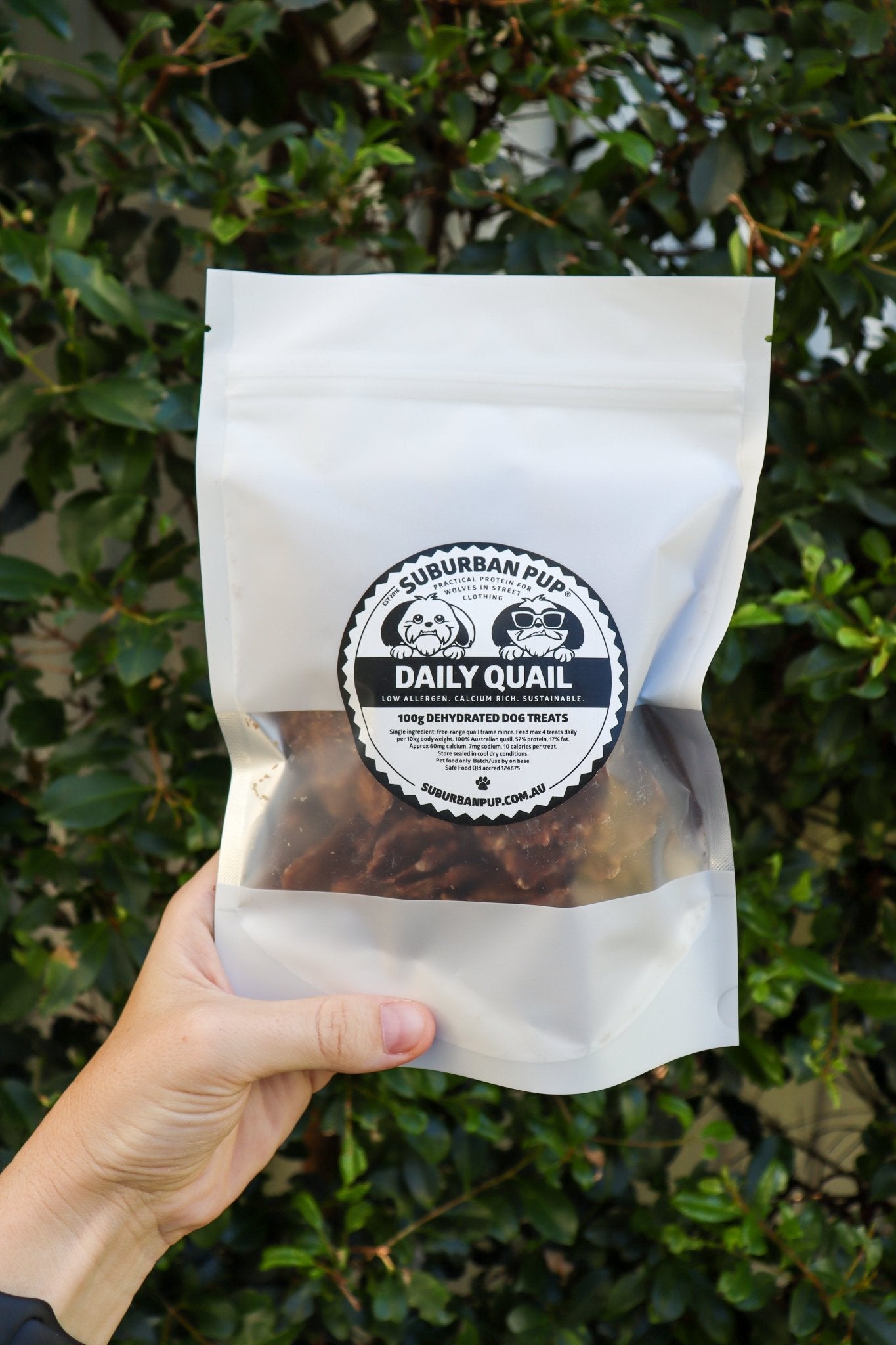 Suburban Pup | DAILY QUAIL DELIGHTS + FREE TREAT POCKET-Dizzy Dog Collars