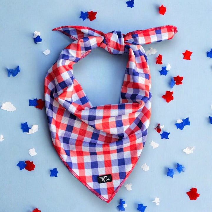 Red & Blue Gingham Bandana | Tie Up Dog Bandana