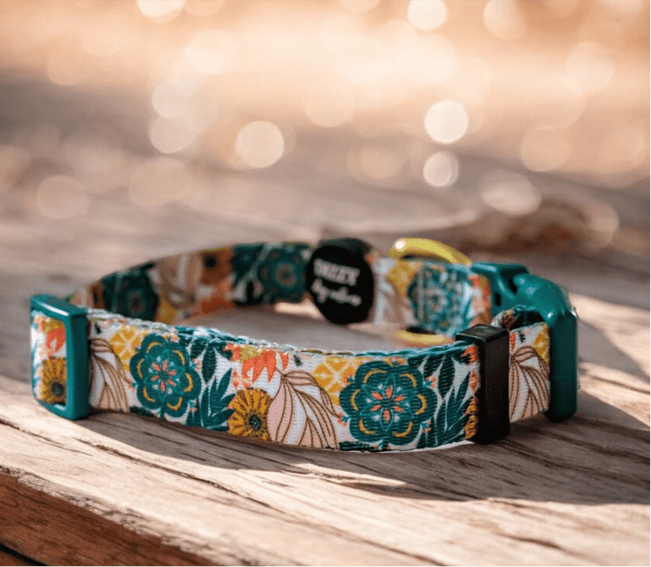 Bohemian Garden Dog Collar | Value Range Dog Collar