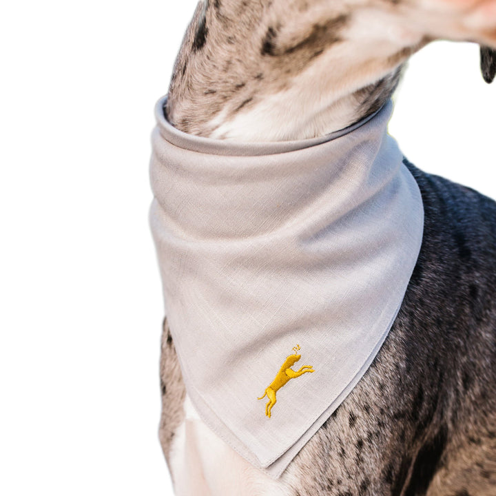 Chasing Winter Grey Bandana