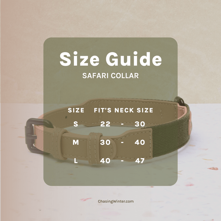 Safari Dog Collar | Genuine Leather