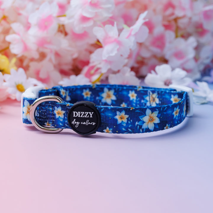 Riviera Romance Dog Collar | Value Range Dog Collar