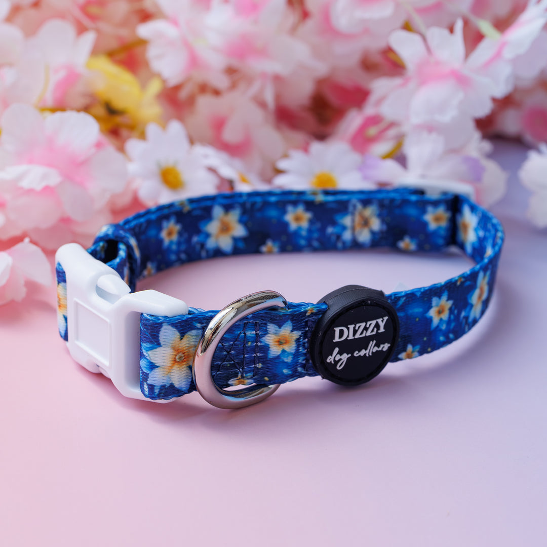 Riviera Romance Dog Collar | Value Range Dog Collar