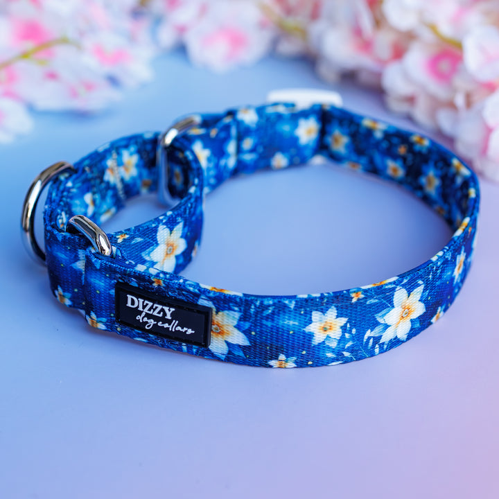 Riviera Romance Martingale Dog Collar