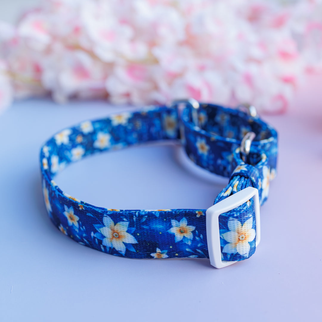 Riviera Romance Martingale Dog Collar