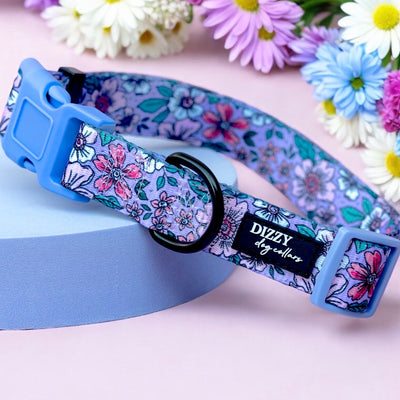 Lilac Floral Dog Collar | Value Range Dog Collar