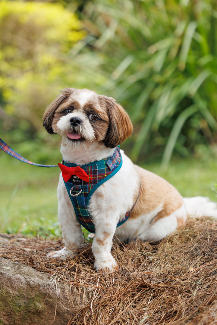 DOG HARNESS | The Hamish: Scottish Tartan | Adjustable Dog Harness with Optional Bow Tie