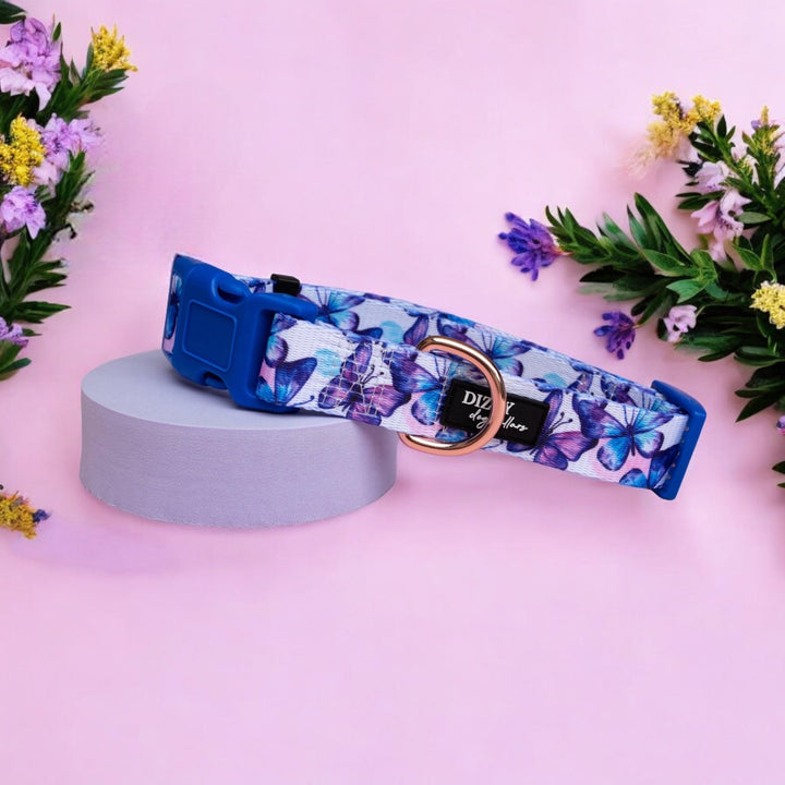 Butterfly Ballet Dog Collar | Value Range Dog Collar