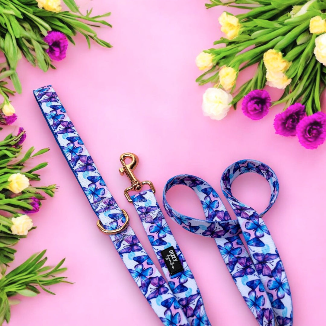 Butterfly Ballet Dog Leash | Dog Lead