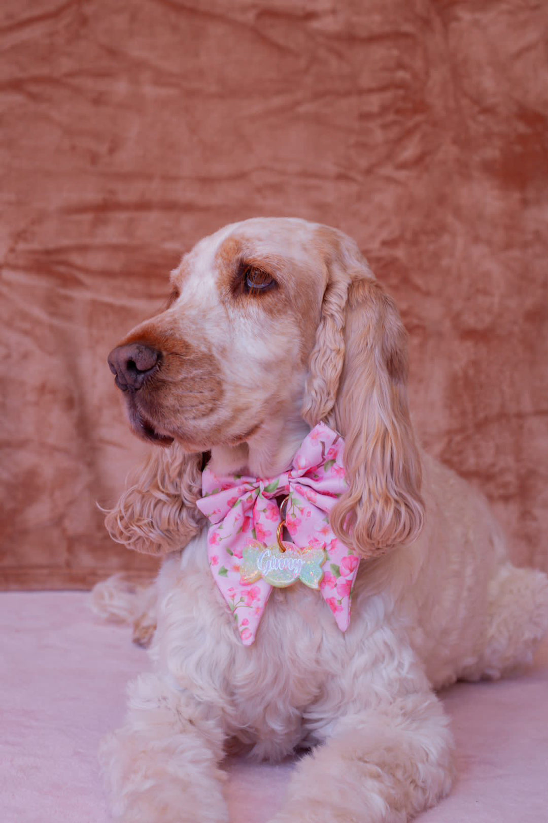 Dog Sailor Bow Tie | Sweet Sakura