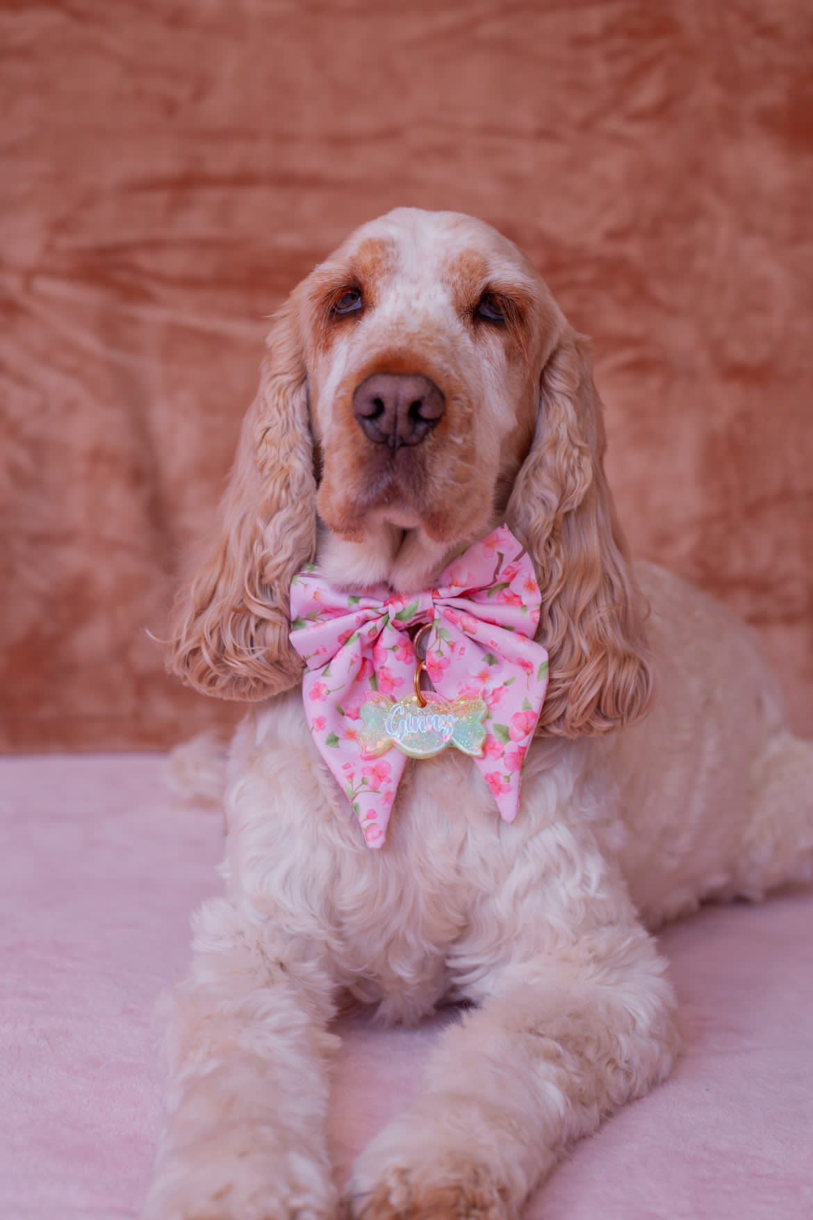 Dog Sailor Bow Tie | Sweet Sakura