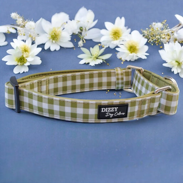 The image showcases a green and white checkered dog collar on a navy blue background, surrounded by white and gold flowers. The collar is labeled "Dizzy Dog Collars." The professional photograph highlights the collar as the focal point, with the floral elements adding a touch of elegance and visual appeal.