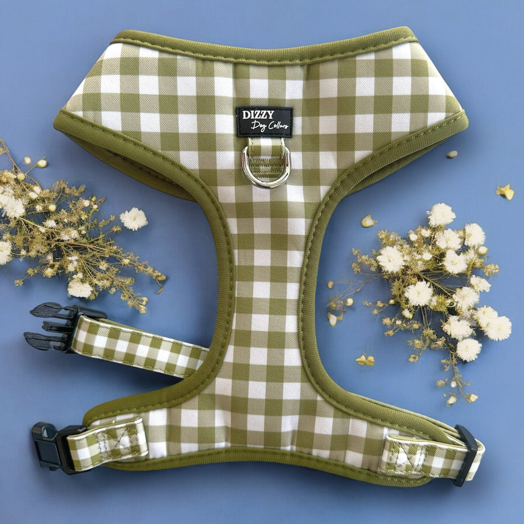 The image showcases a green and white checkered dog harness on a light blue background, accented by white and gold flowers. The harness is labeled "Dizzy Dog Collars," and the professional composition draws attention to the harness, enhanced by the delicate floral decorations.