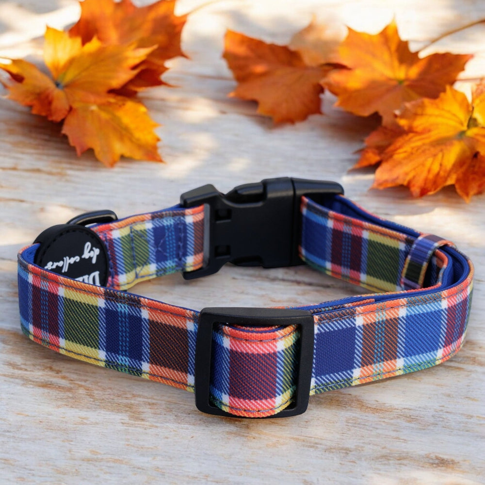 The image showcases a colorful plaid dog collar laid out on a wooden surface, surrounded by autumn leaves. The collar is labeled "Dizzy Dog Collars," and the natural setting emphasizes the collar with a warm, autumnal feel.