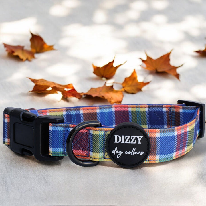 The image features a colorful plaid dog collar laid out on a light surface, accented by autumn leaves. The collar is labeled "Dizzy Dog Collars," and the professional composition highlights the collar against the seasonal background, creating a vibrant and appealing visual.