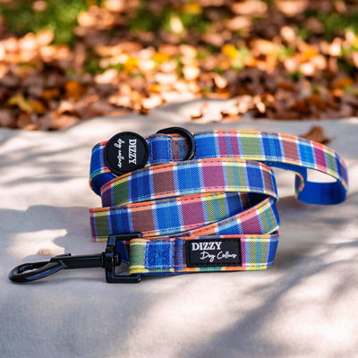 The image features a colorful plaid dog leash laid out on a light surface, with an autumnal background of fallen leaves and greenery. The leash is labeled "Dizzy Dog Collars," and the professional composition highlights the leash against a natural outdoor setting, adding a vibrant and seasonal touch.