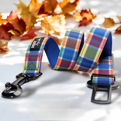  The image showcases a colorful plaid dog car restraint laid out on a light surface, with an autumnal backdrop of fallen leaves. The restraint is labeled "Dizzy Dog Collars," and the professional composition draws attention to the restraint, complemented by the seasonal ambiance.