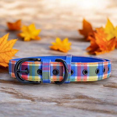 Country Plaid Belt Buckle Dog Collar | Canvas & Neoprene