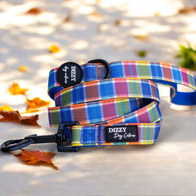 Country Plaid Dog Leash | Canvas & Neoprene | Premium Quality Fully Padded Leash