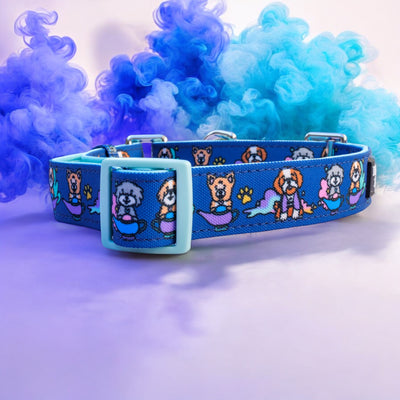 Wish Upon A Genie Dog Collar | Canvas & Neoprene Dog Collar