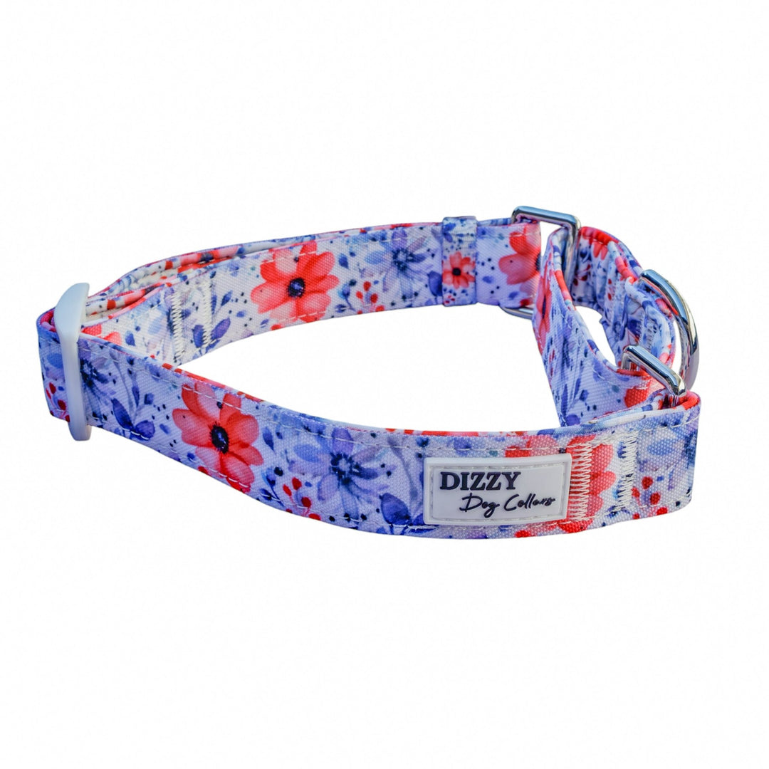 Martingale Dog Collar | Royal Bouquet