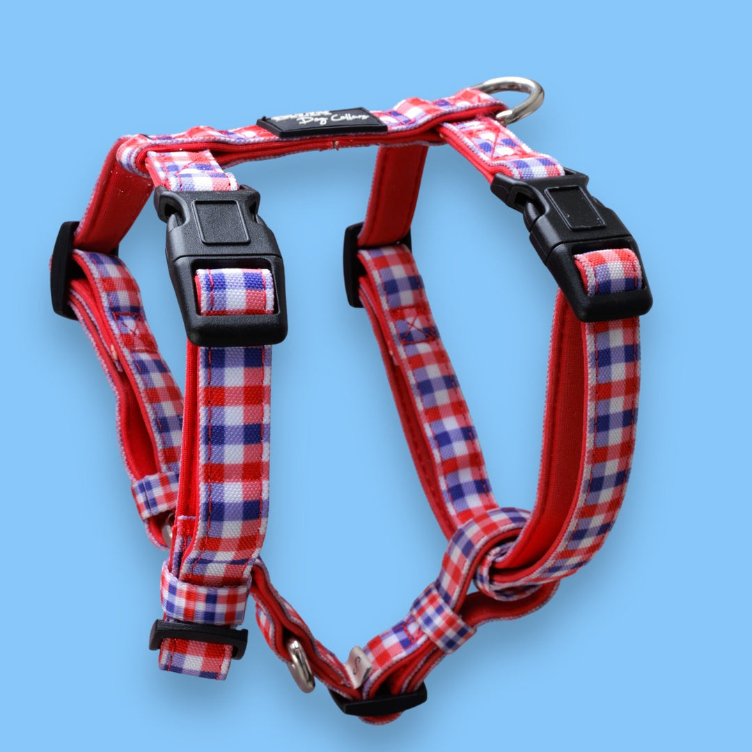 Step in H-Harness with front & back attachment | Red & Blue Gingham | Fully Padded Canvas & Neoprene Harness