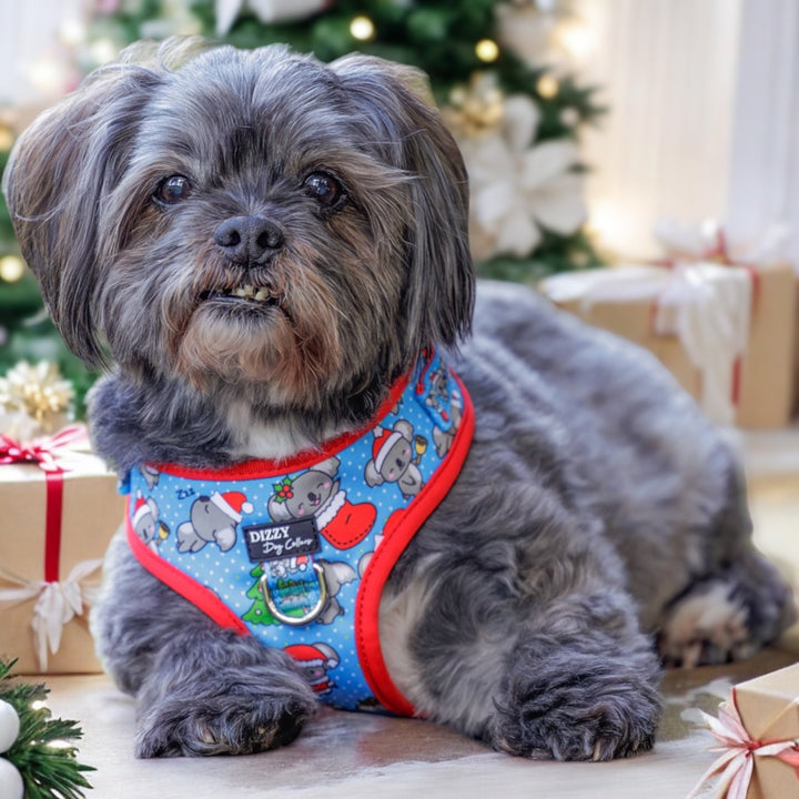 DOG HARNESS | Christmas Koalas | Neck Adjustable Dog Harness