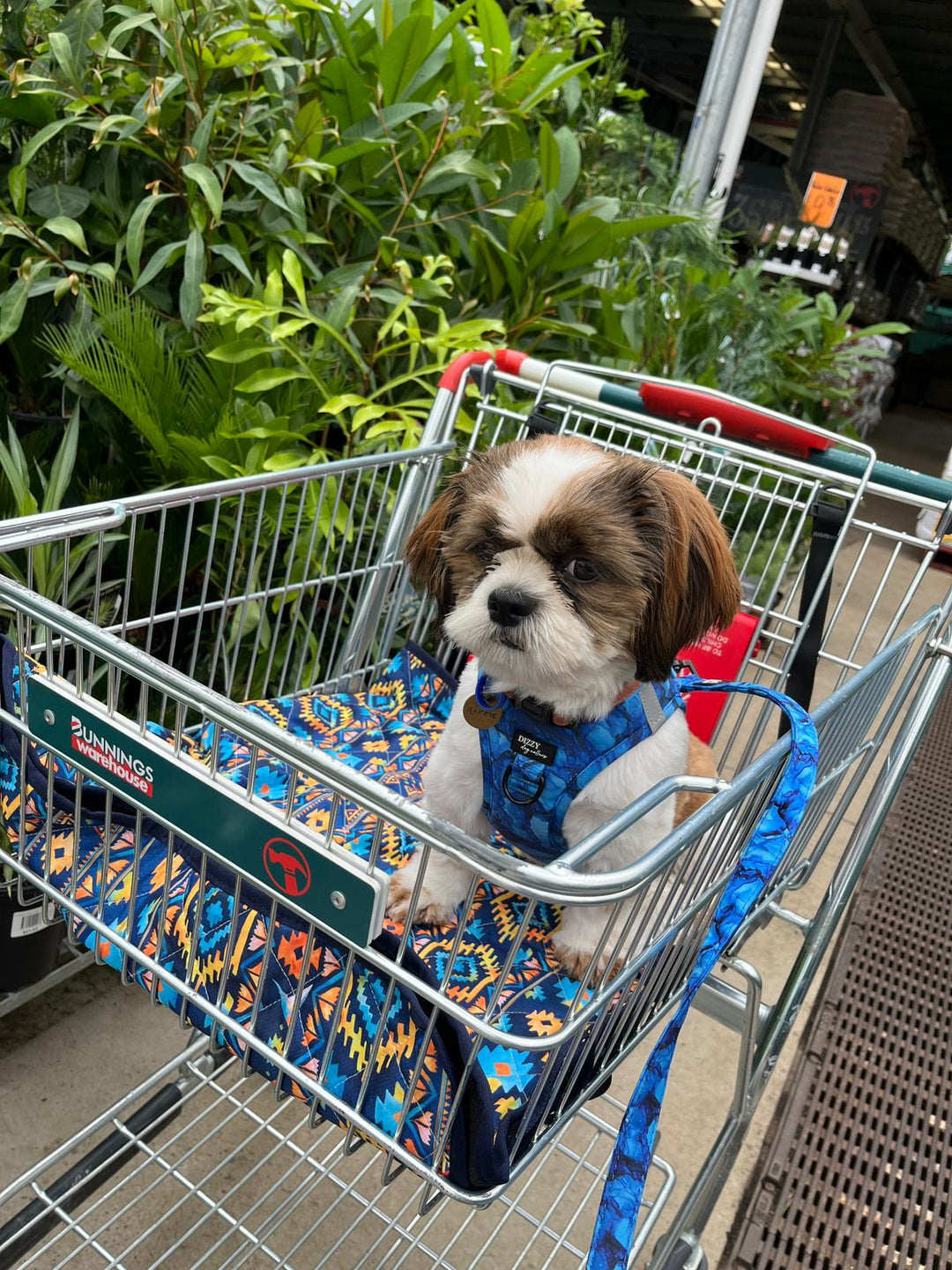 Trolley Mat | Dog Picnic Mat | Aztec Empire-Dizzy Dog Collars