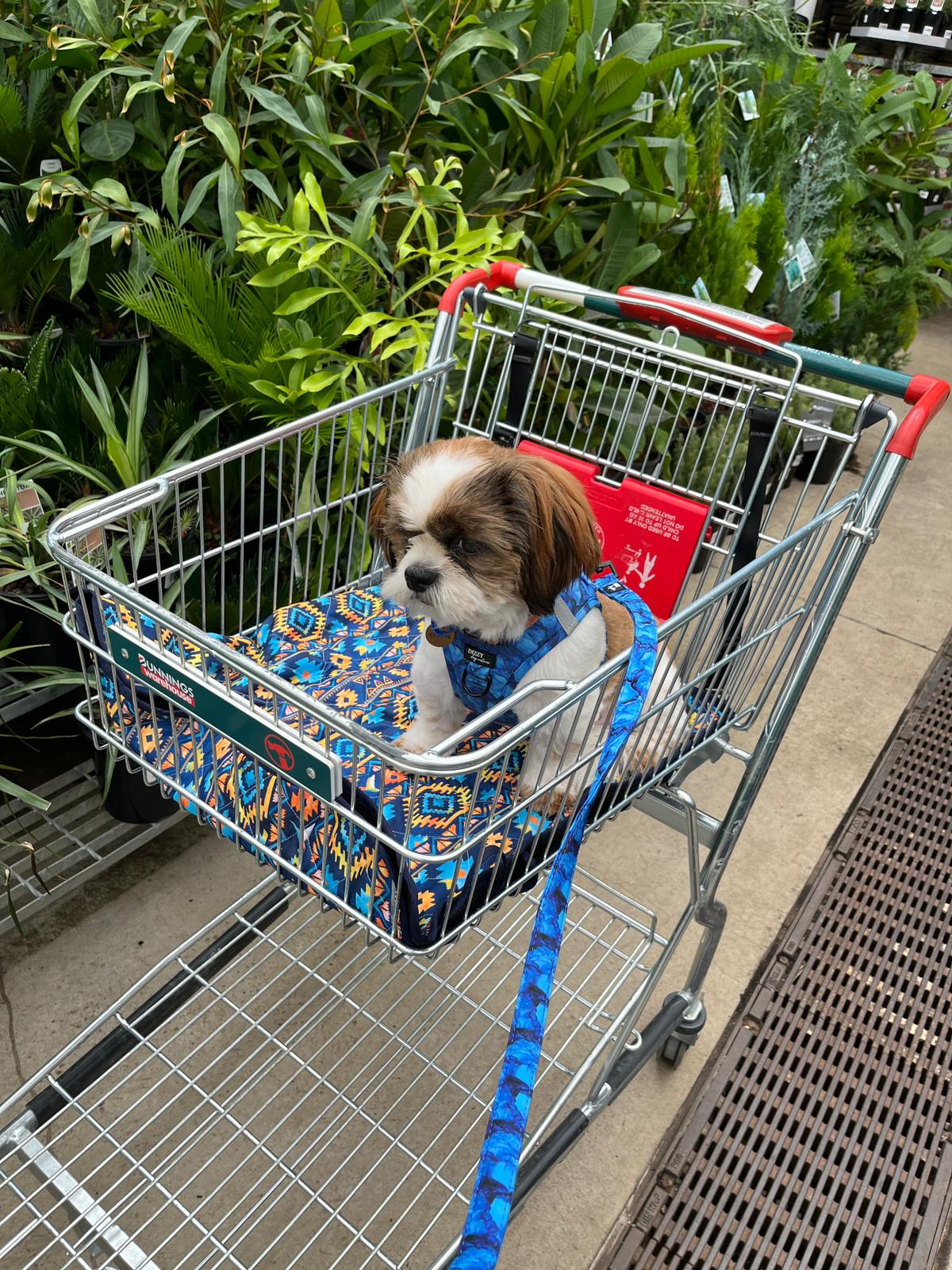 Trolley Mat | Dog Picnic Mat | Aztec Empire-Dizzy Dog Collars