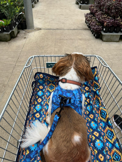 Trolley Mat | Dog Picnic Mat | Aztec Empire-Dizzy Dog Collars