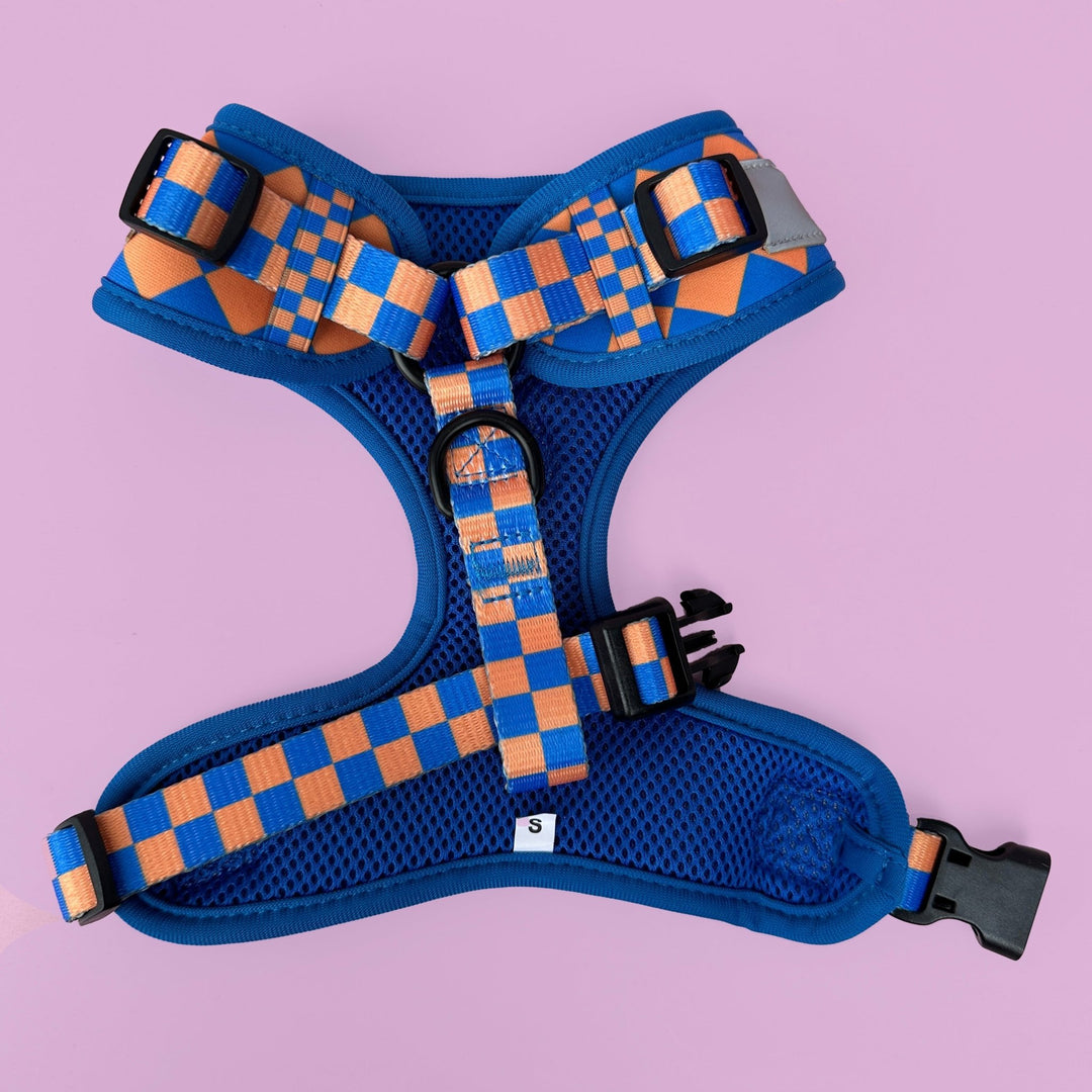 DOG HARNESS | Orange and Blue Checkers | Neck Adjustable Dog Harness-BFF-Dizzy Dog Collars