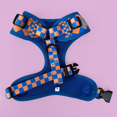 DOG HARNESS | Orange and Blue Checkers | Neck Adjustable Dog Harness-BFF-Dizzy Dog Collars