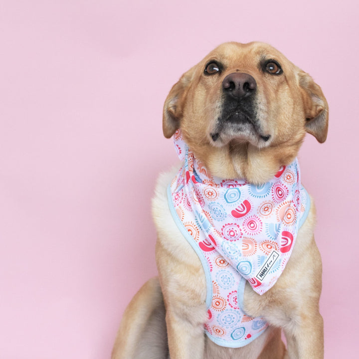 Alkira: Bandana-Bandana-Dizzy Dog Collars