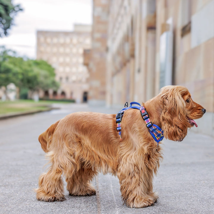 No Pull Dog Harness | Step in | Reflective | Heavy Duty | Easy Reach Handle | Country Plaid