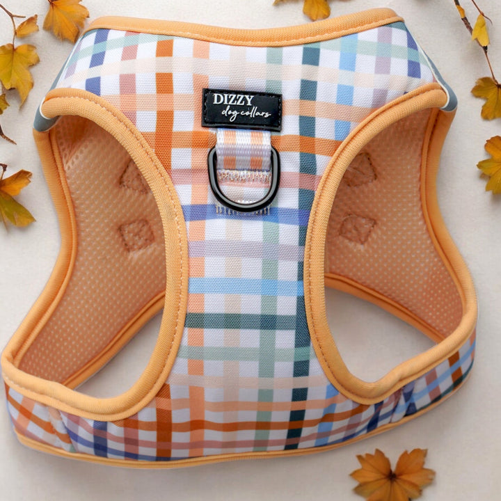 Step In Dog Harness: No Pull Harness | For XS to Medium Dogs & Cats | Vintage Gingham