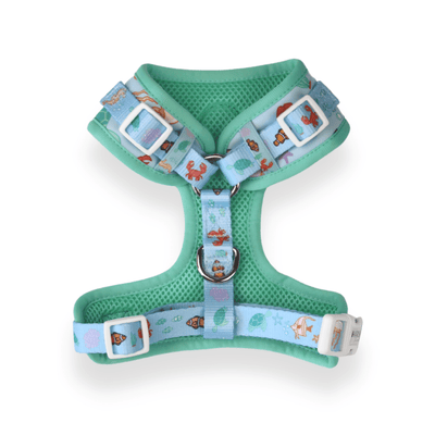 Finding Harli: Adjustable Harness-Harness-Dizzy Dog Collars