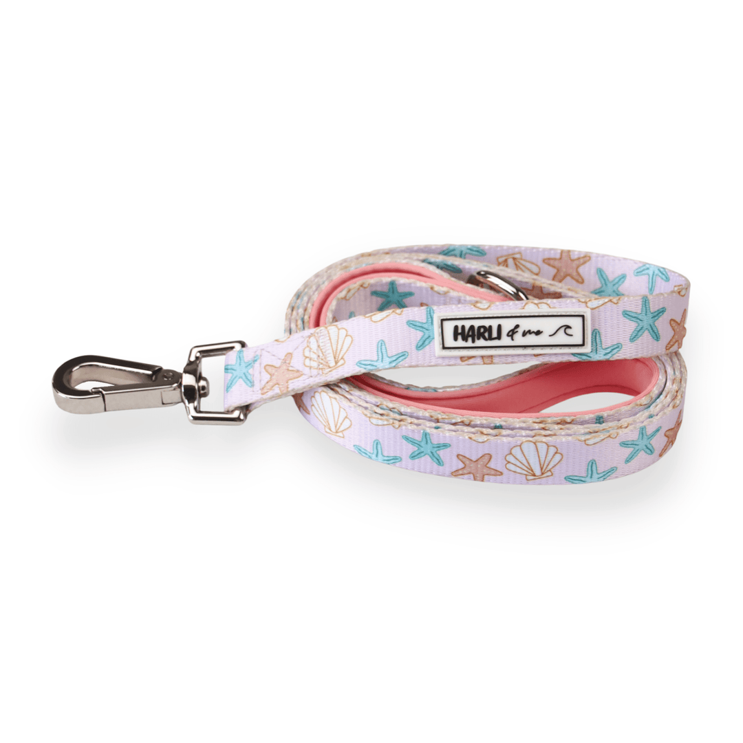 Burleigh: Leash-Leash-Dizzy Dog Collars