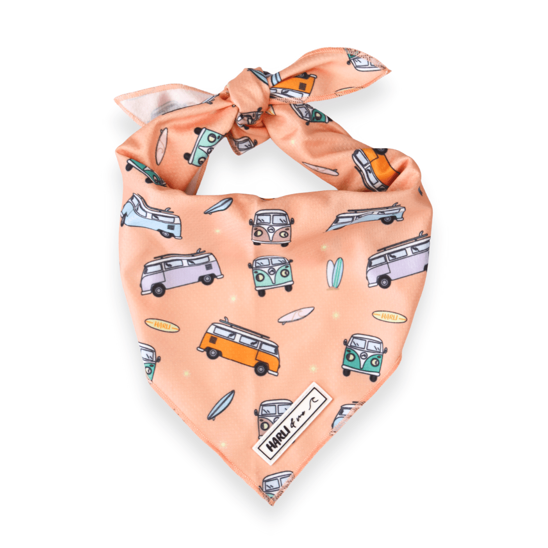 Happy Hippie: Bandana-Bandana-Dizzy Dog Collars