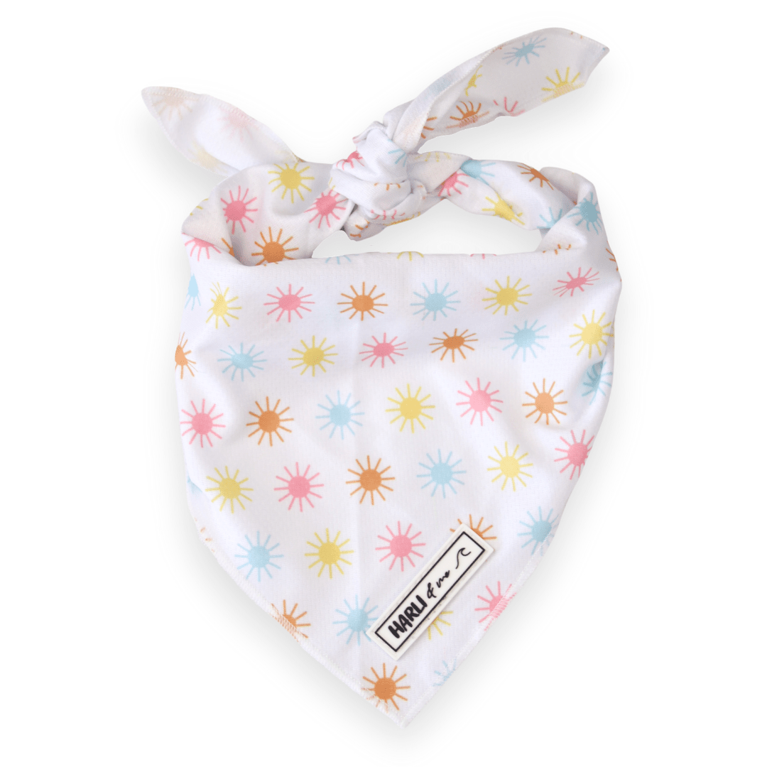 Walking on Sunshine: Bandana-Bandana-Dizzy Dog Collars