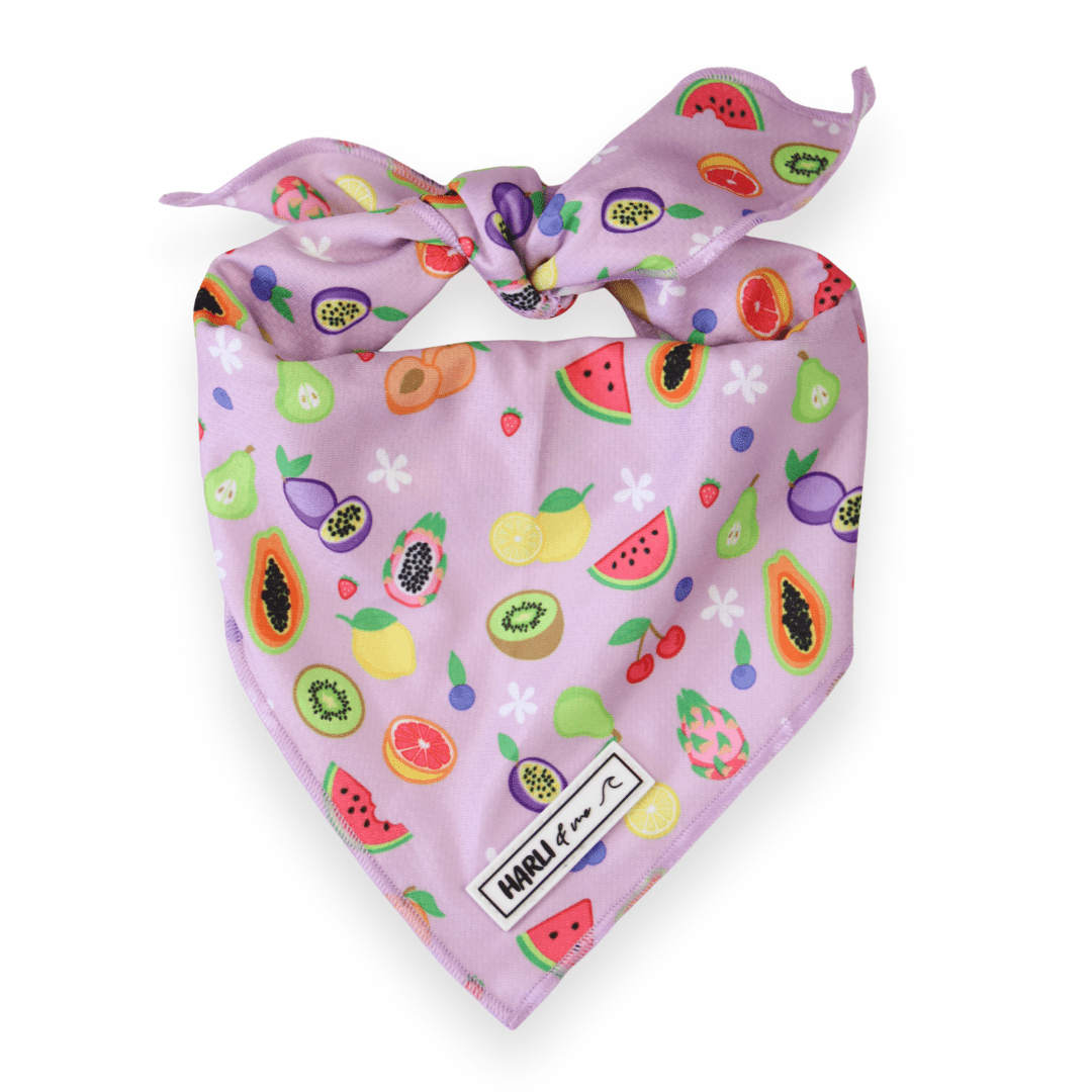 Paradise Punch: Bandana-Bandana-Dizzy Dog Collars