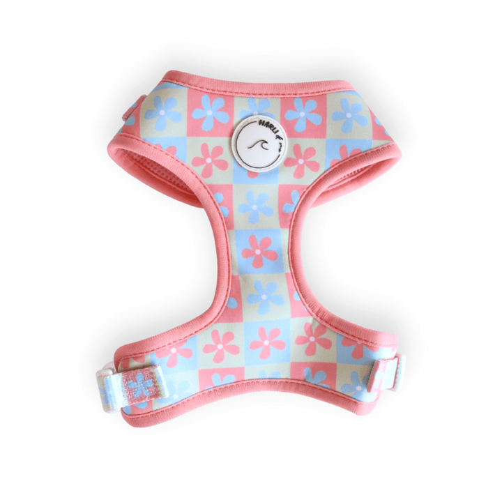 Petal & Pup: Adjustable Harness-Harness-Dizzy Dog Collars