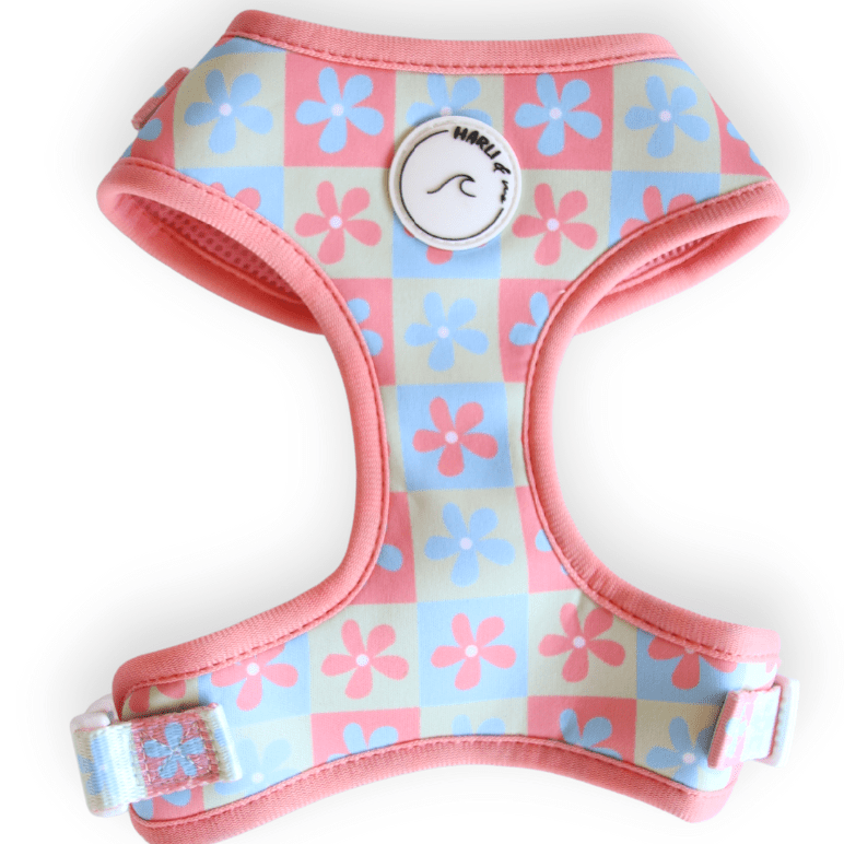 Petal & Pup: Adjustable Harness-Harness-Dizzy Dog Collars